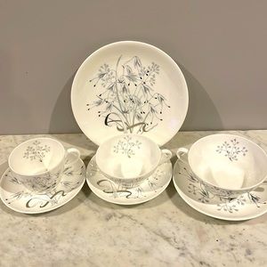 88 piece wedge wood bone china “wild oats” pattern